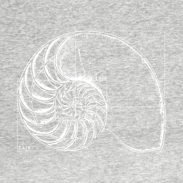 Fibonacci on a nautilus shell by funmaths